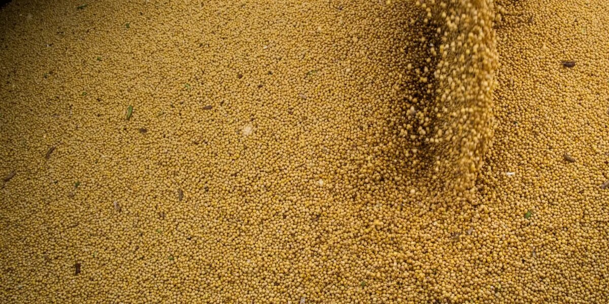 agro-cresce-11,7%,-impulsiona-pib-e-ganha-participacao-na-economia