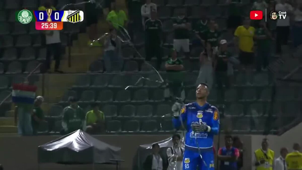 final-do-campeonato-paulista-e-interrompida-por-situacao-inusitada;-entenda