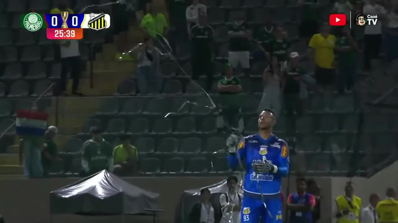 Final do Campeonato Paulista é interrompida por situação inusitada; entenda