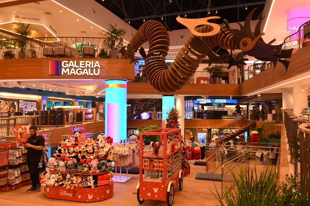 magazine-luiza-tem-lucro-liquido-de-r$-131,6-milhoes-no-4t25,-queda-anual-de-55,4%