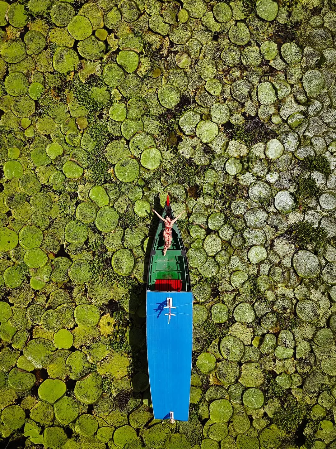 Ex-BBB Isabelle Nogueira exalta a Amazônia em nova trend de drones