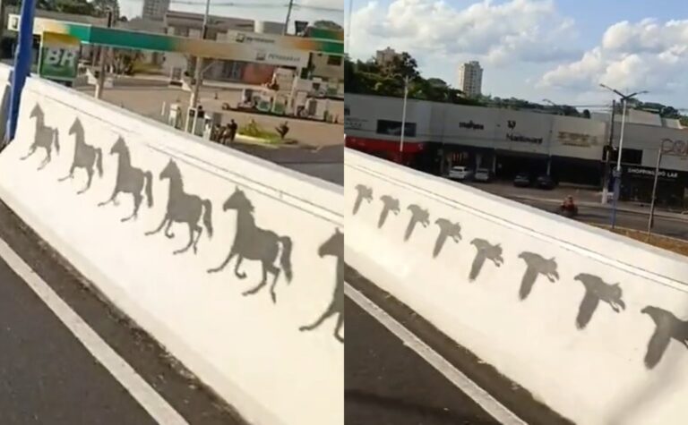 Você viu? Vídeo revela efeito visual surpreendente no novo elevado de Rio Branco