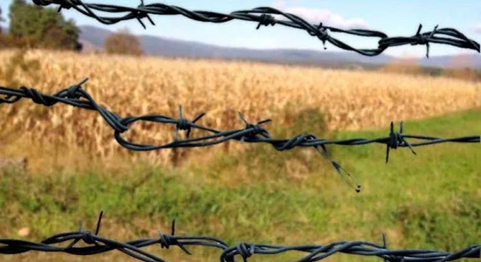 Amazônia Legal concentra quase metade dos conflitos agrários registrados no Brasil, aponta estudo