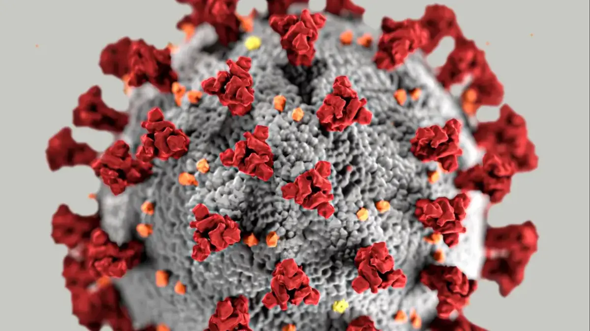 Nova variante "Cicada" da Covid-19 se espalha por 23 países e gera alerta