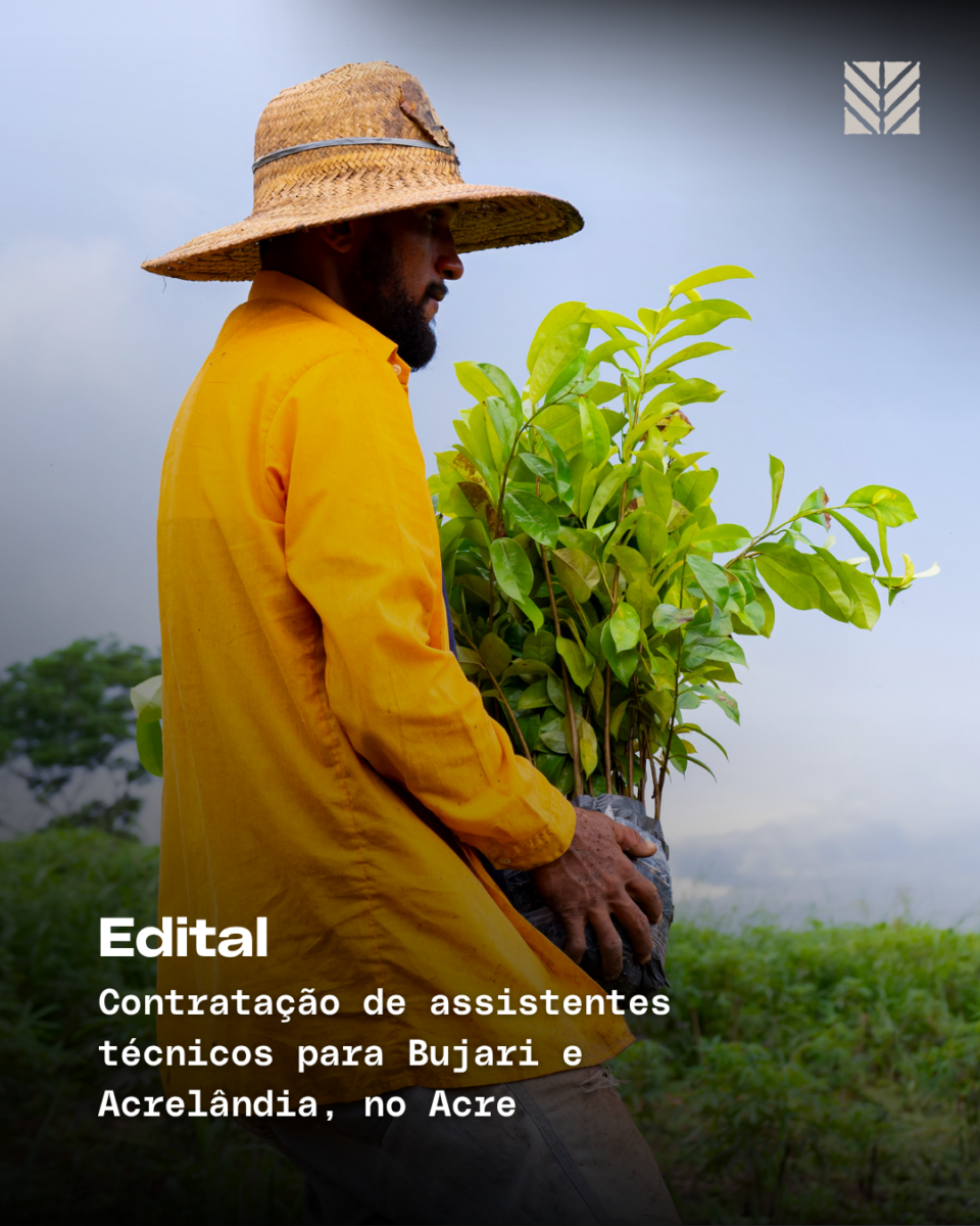 SOS Amazônia abre seletivo para contratar assistentes técnicos no Acre