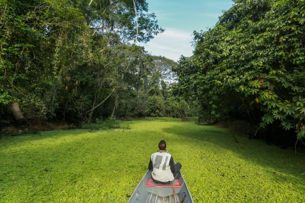 Vídeo com drone destaca beleza do Rio Croa e viraliza nas redes