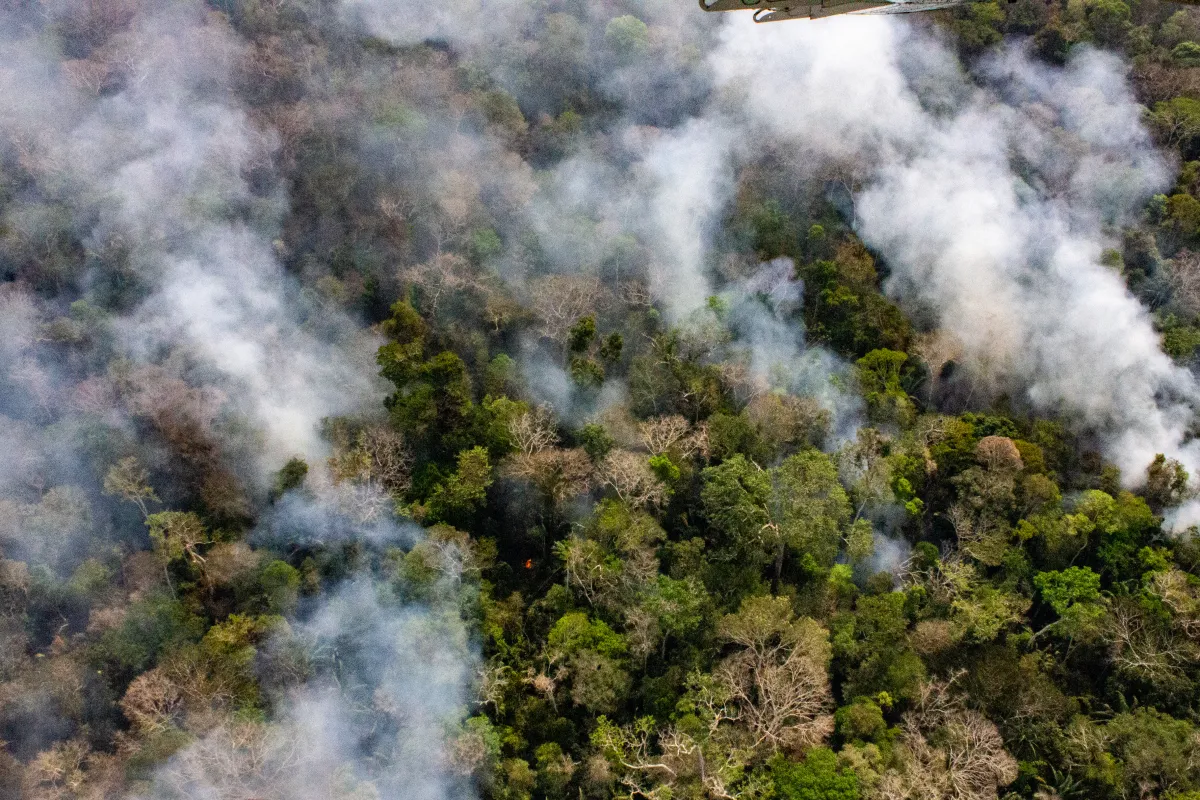 Desmatamento no Acre aumenta 50% enquanto Amazônia registra queda geral de 38%