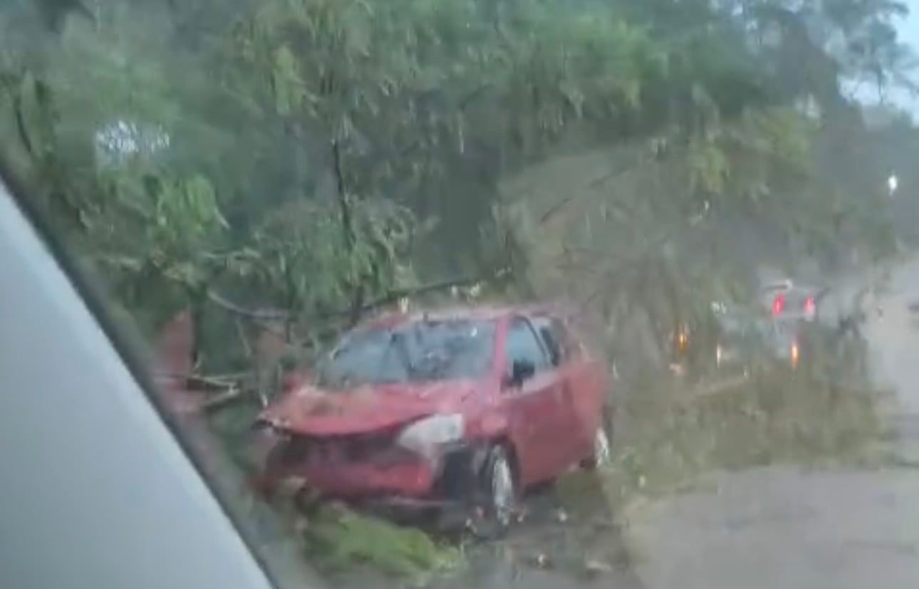 Árvore caiu em cima do carro