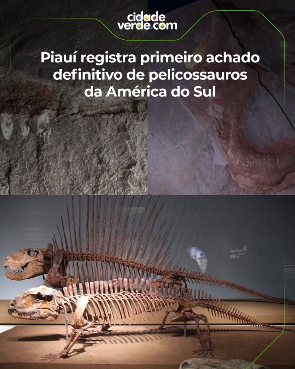 Pesquisa liderada por cientistas brasileiros confirma primeiros registros do grupo de vertebrados no continente.