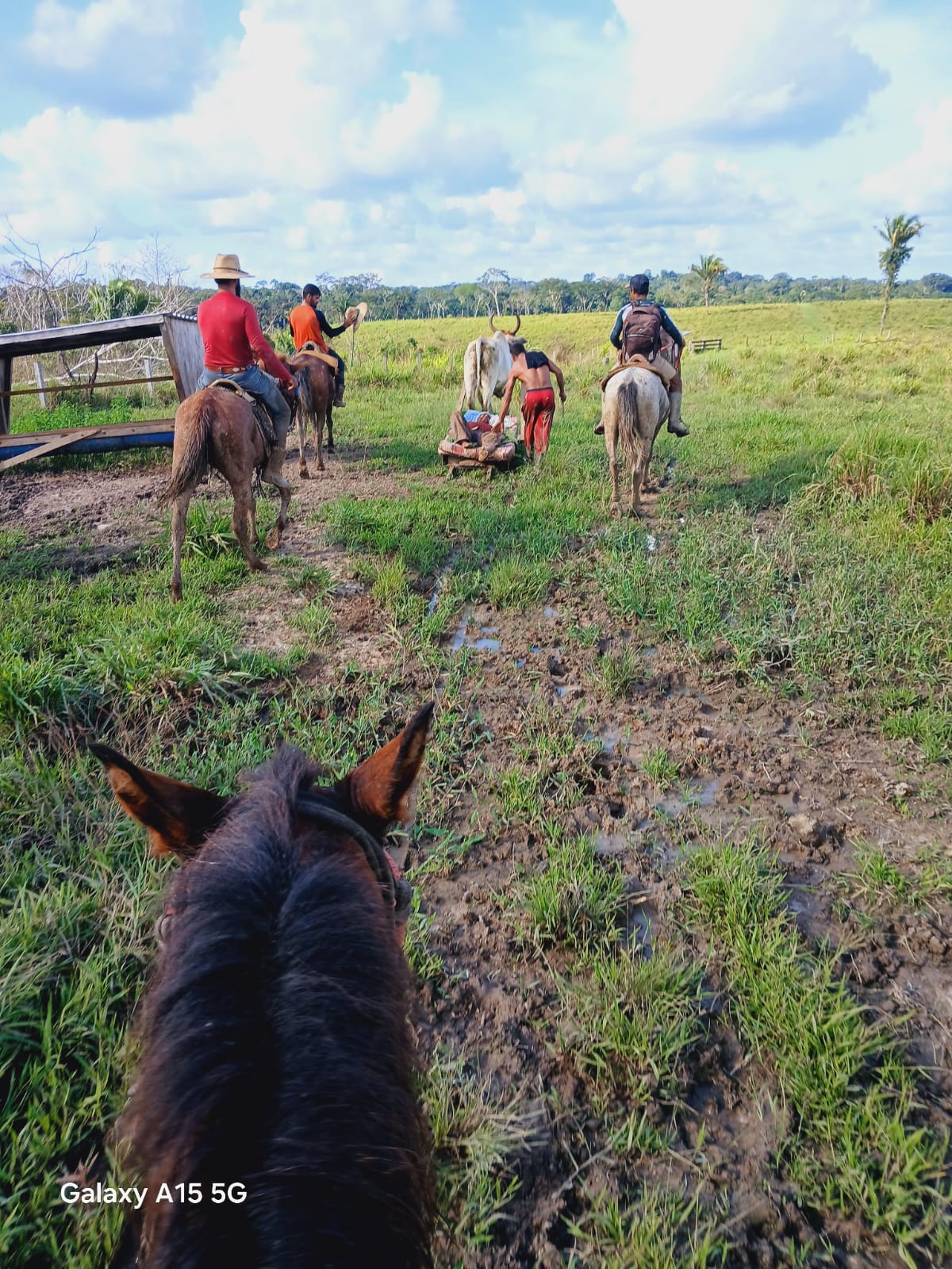 Novas imagens mostram resgate de vítima em ramal
