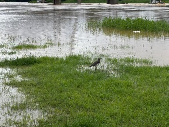 Rio Acre 30 de março (3)