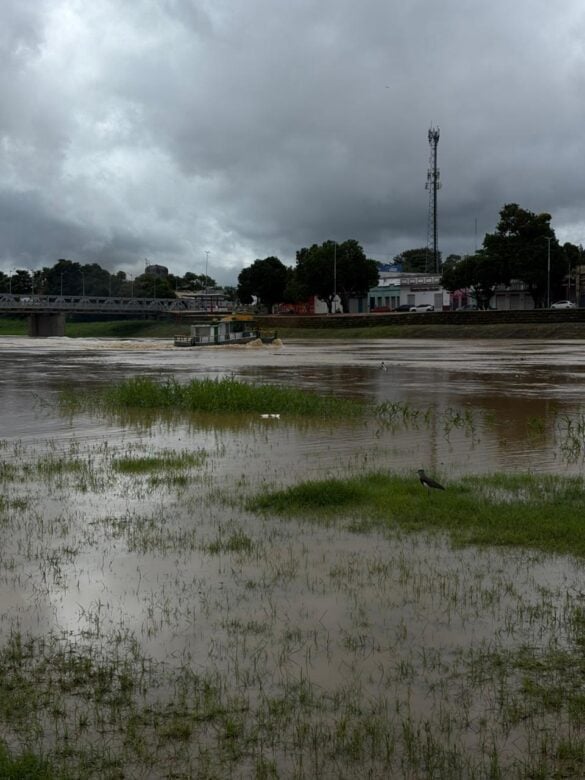 Rio Acre 30 de março (6)