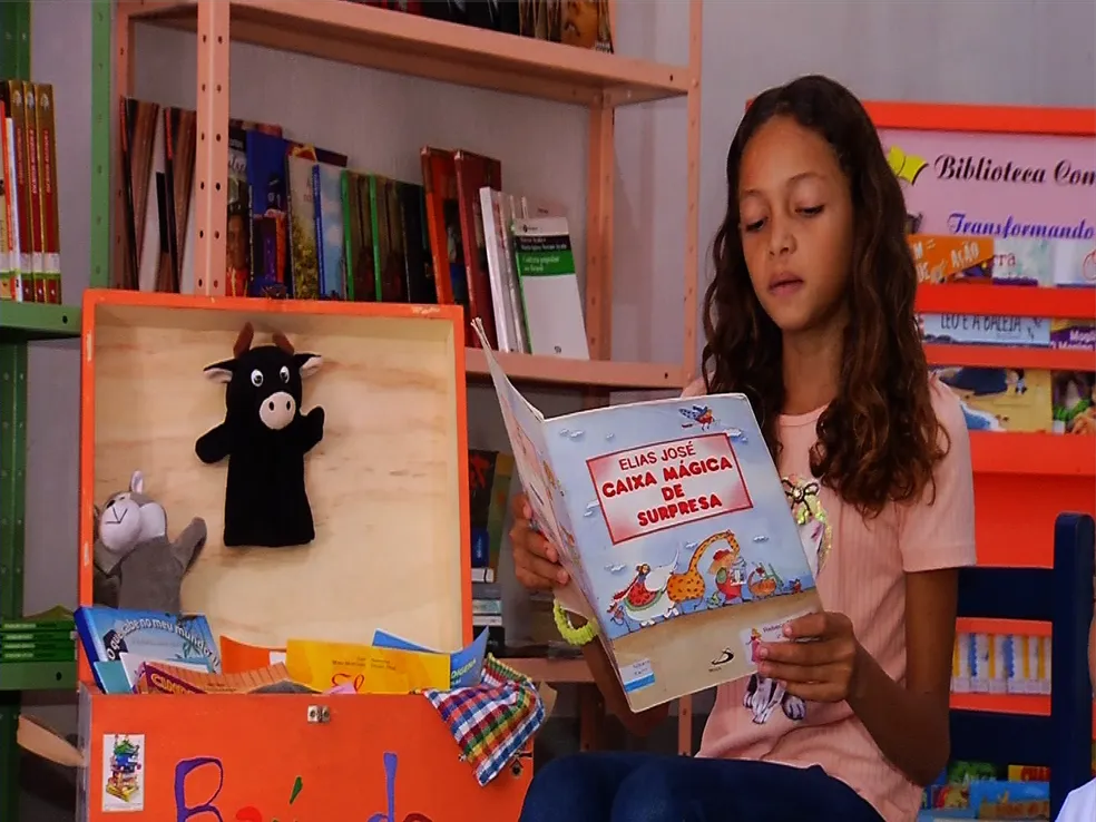 Seis estados não atingem metas de alfabetização na idade certa