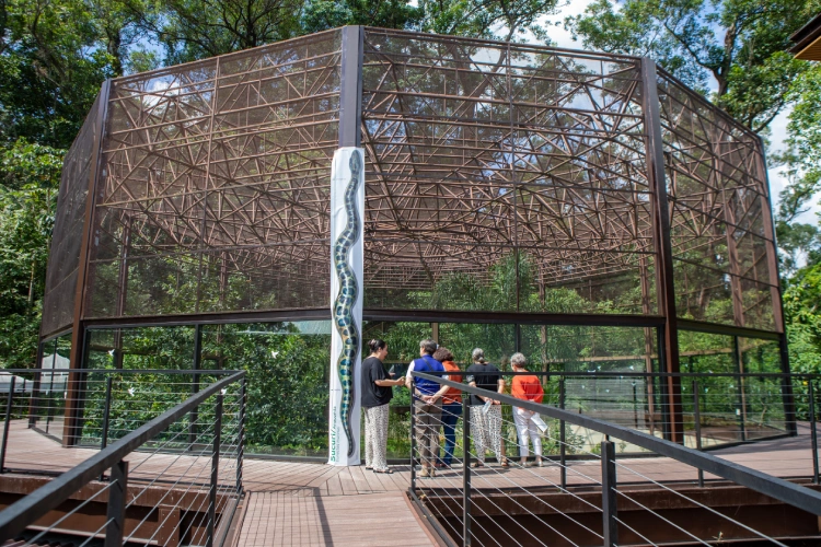Instituto Butantan inaugura recinto com três anacondas para pesquisa e visitação do público