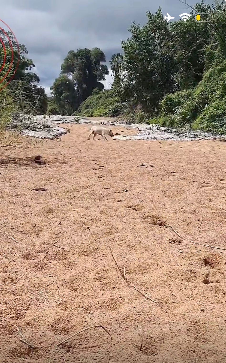 Imagens feitas na manhã de domingo mostram o retorno do fluxo do Rio Boa Vista, após oito meses de estiagem