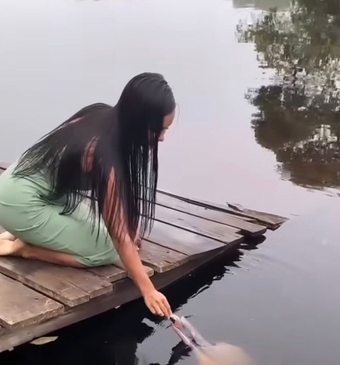 Vídeo mostra boto-cor-de-rosa interagindo com jovem em rio do Amazonas