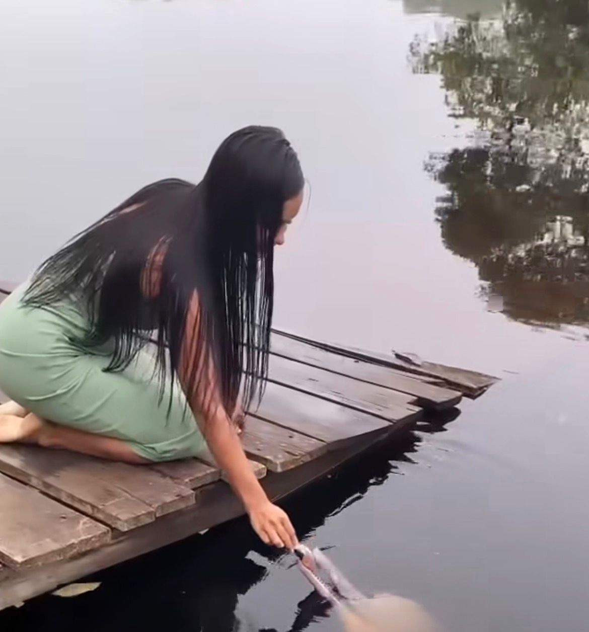 Vídeo mostra boto-cor-de-rosa interagindo com jovem em rio do Amazonas