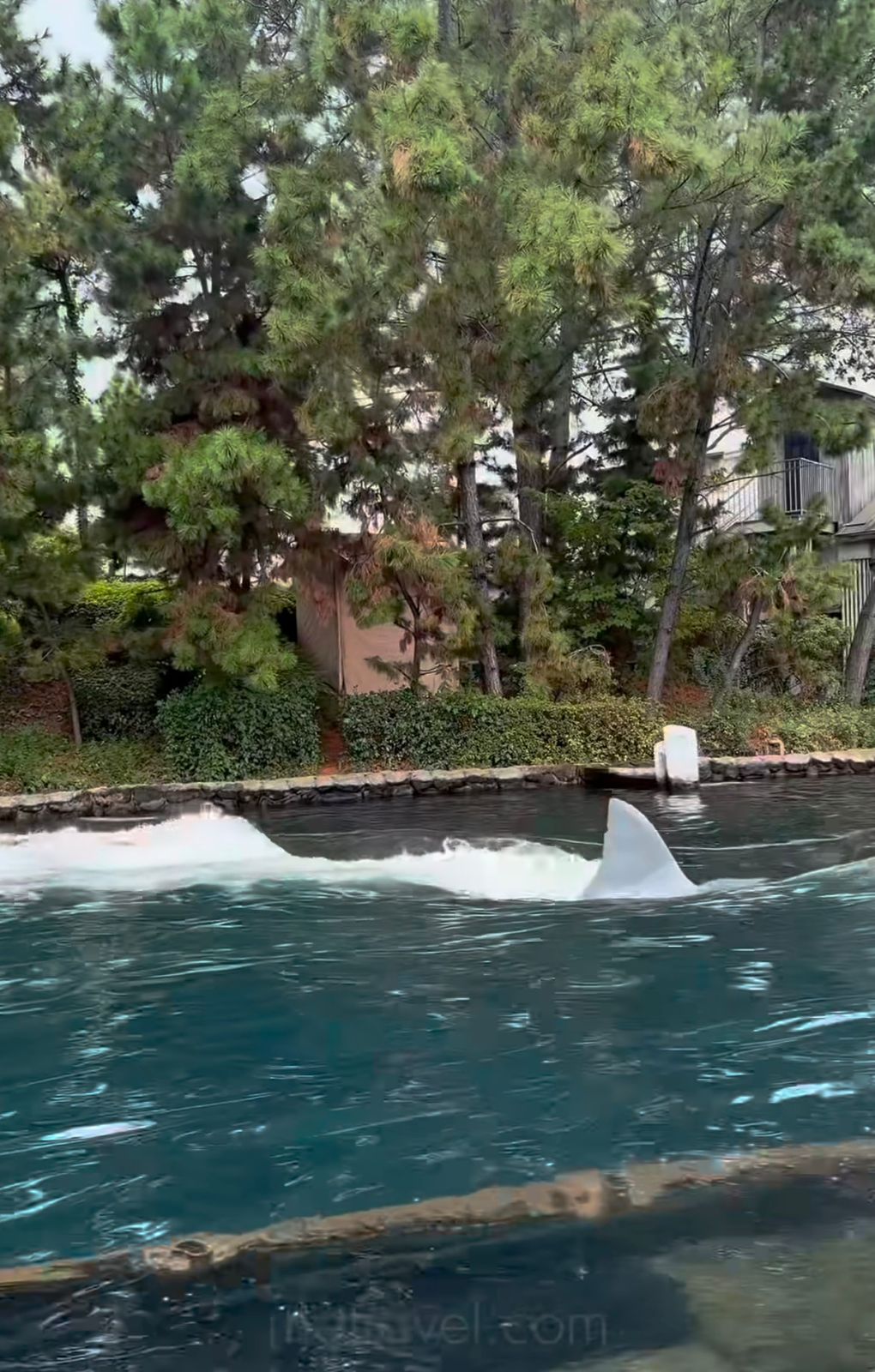 Atração temática aposta em ambientação imersiva e efeitos especiais para atrair visitantes.