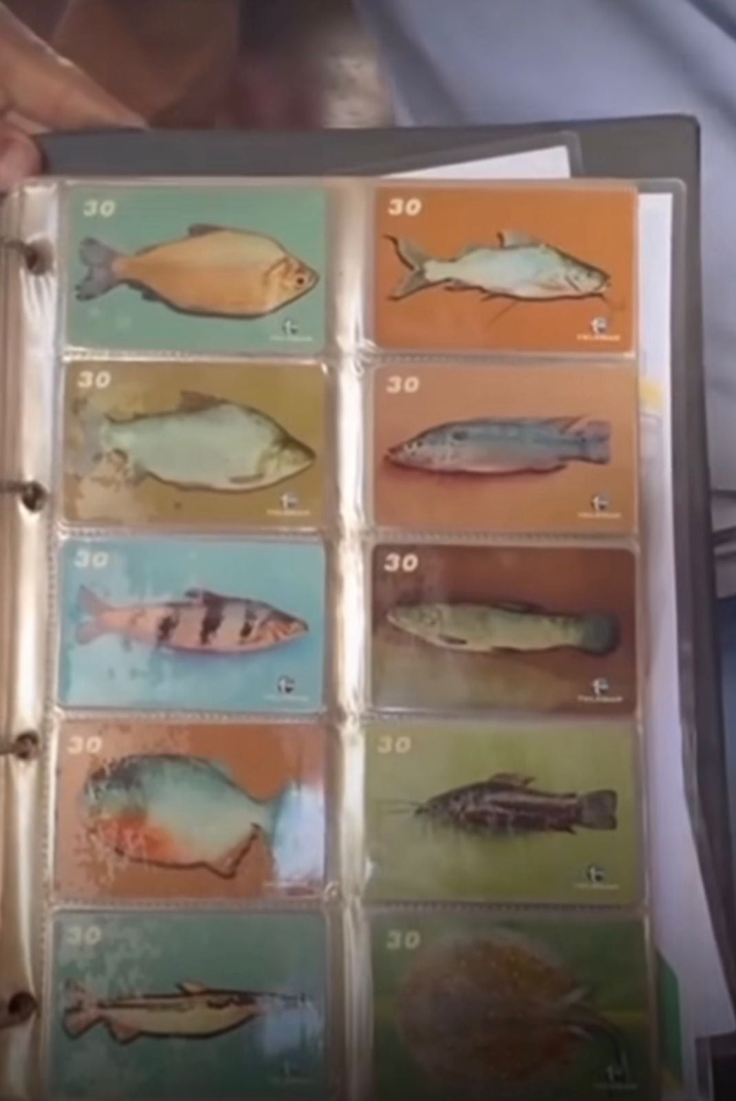 Vídeo resgata coleção de cartões telefônicos e relembra era dos orelhões no Brasil