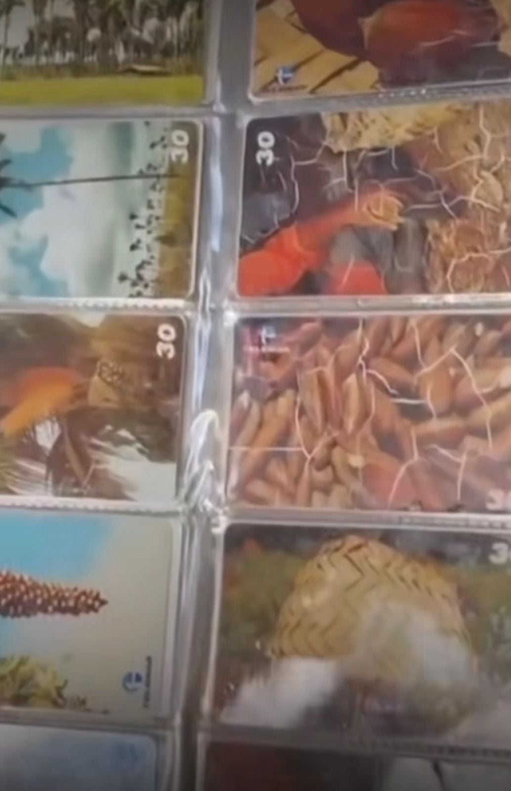 Vídeo resgata coleção de cartões telefônicos e relembra era dos orelhões no Brasil