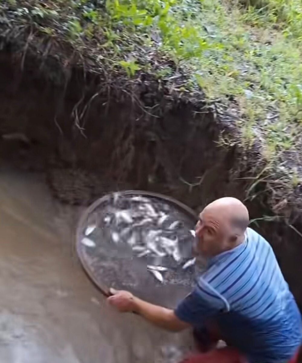 Homem usa peneira e impressiona ao capturar vários lambaris em riacho com técnica simples