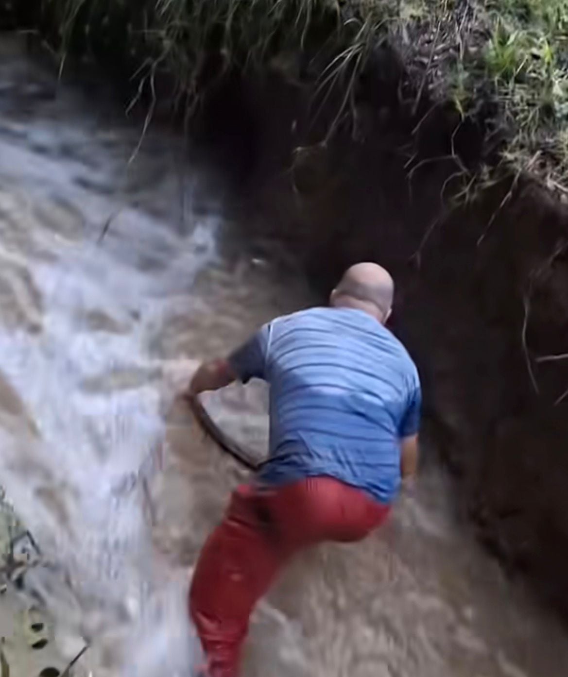 Homem usa peneira e impressiona ao capturar vários lambaris em riacho com técnica simples
