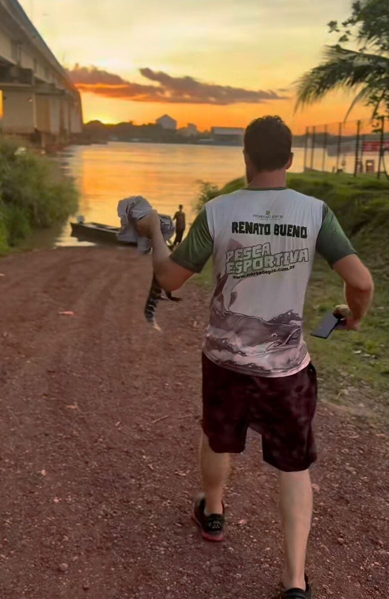 Homem encontra filhote de jacaré debaixo de ponte e devolve animal ao rio Madeira