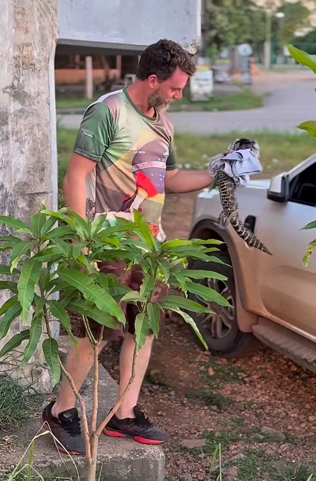 Homem encontra filhote de jacaré debaixo de ponte e devolve animal ao rio Madeira