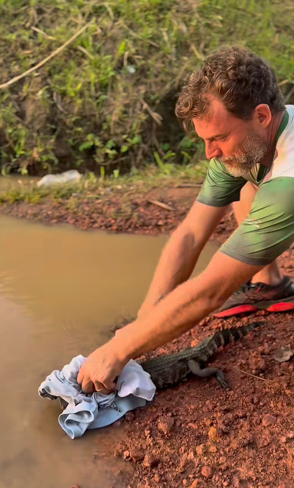 Homem encontra filhote de jacaré debaixo de ponte e devolve animal ao rio Madeira