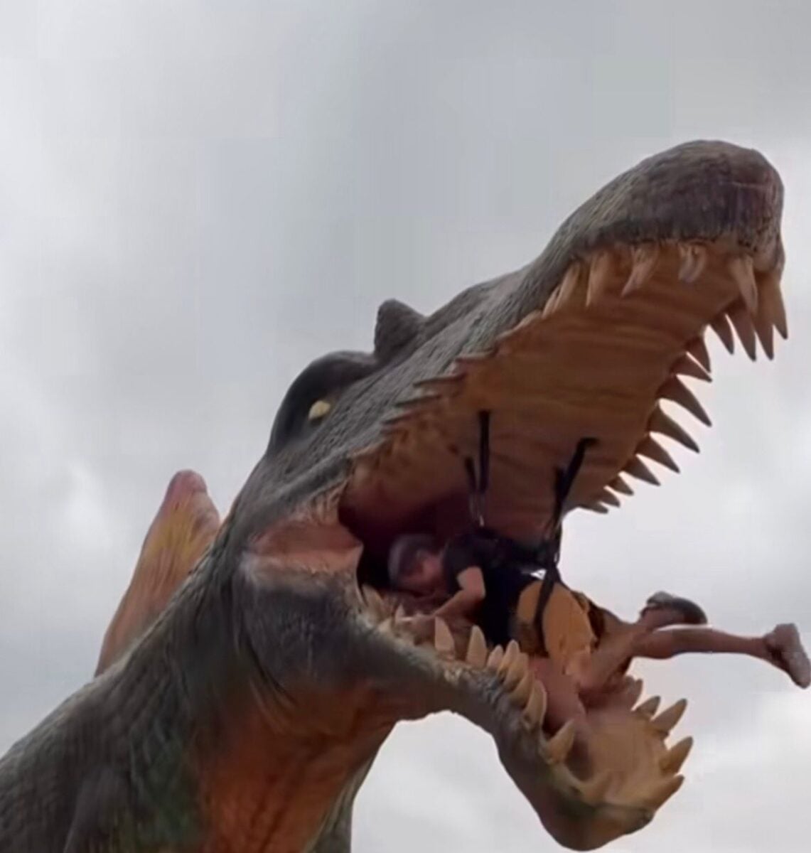 Mulher vive experiência imersiva que simula ataque e “devoração” por dinossauro em atração temática