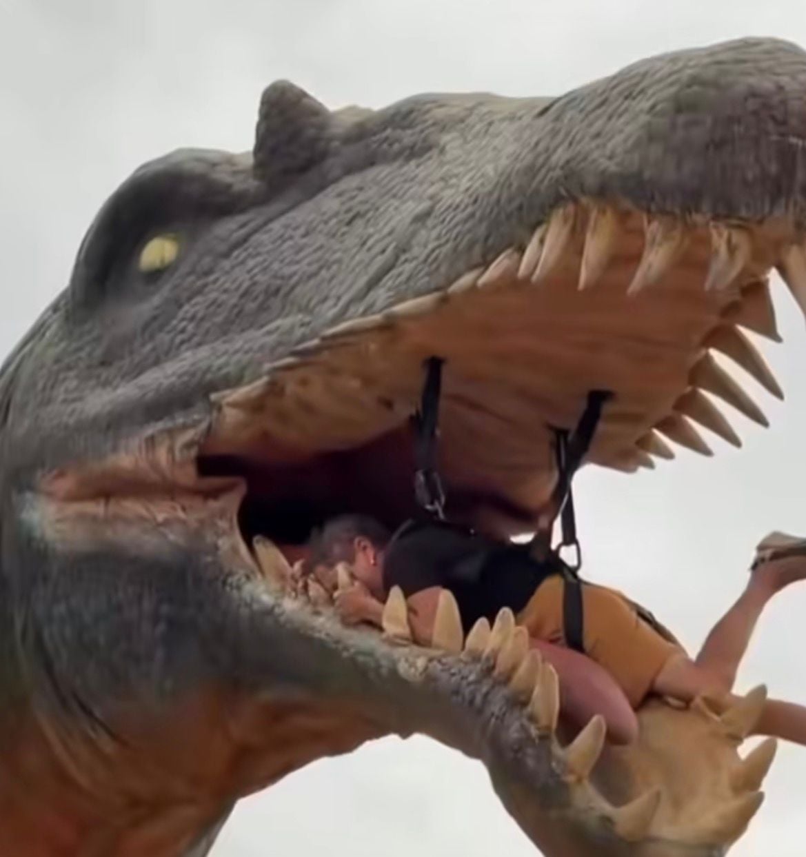 Mulher vive experiência imersiva que simula ataque e “devoração” por dinossauro em atração temática