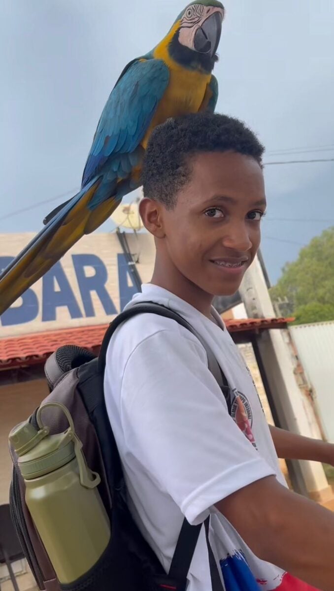 Arara pousa na cabeça de jovem que andava de bicicleta e cena chama atenção