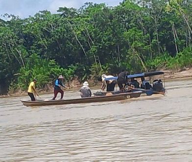 Dois rabetões com 35 mil mudas de açaí naufragam no Rio Juruá em Cruzeiro do Sul