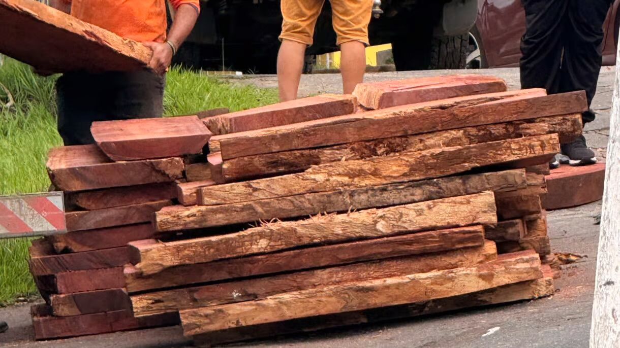 PRF apreende caminhão com madeira irregular durante fiscalização em Cruzeiro do Sul