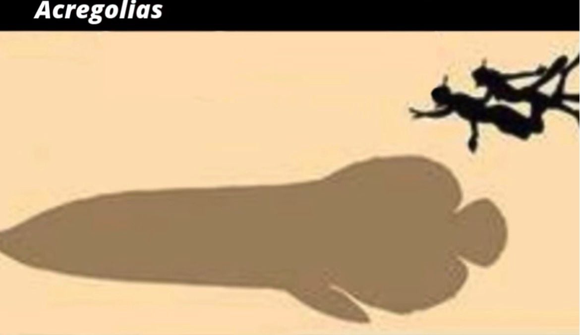 Vídeo explica como Acre e Amazonas eram há 15 milhões de anos e revela fauna pré-histórica