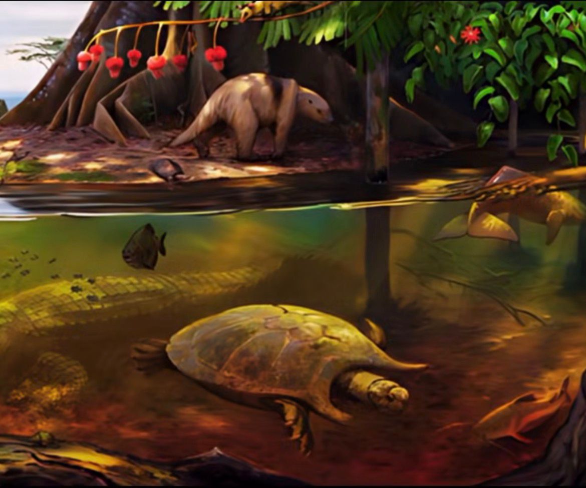 Vídeo explica como Acre e Amazonas eram há 15 milhões de anos e revela fauna pré-histórica