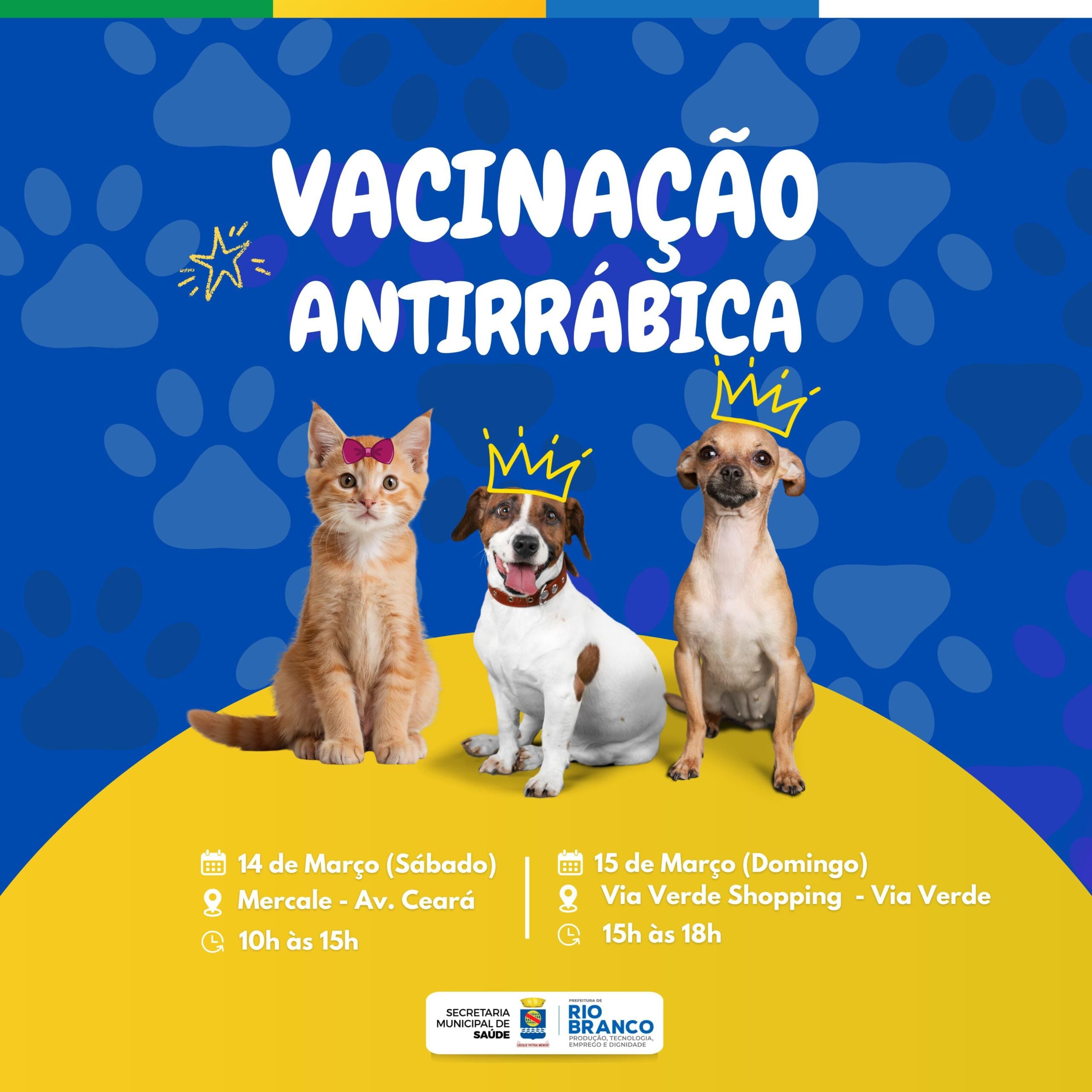 Prefeitura realiza vacinação antirrábica neste fim de semana em alusão ao Dia Nacional dos Animais