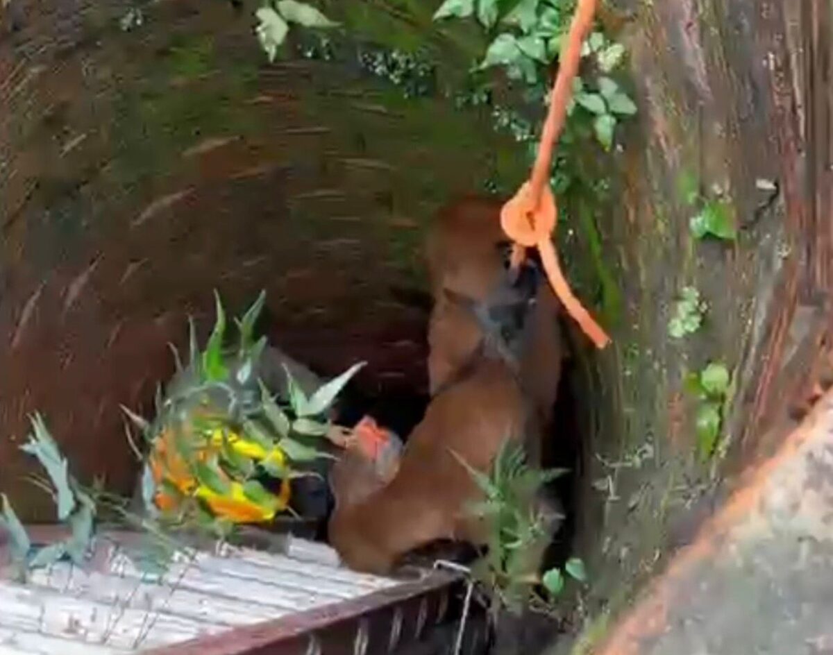 Moradores da área acompanharam a operação e comemoraram o resultado da ação.