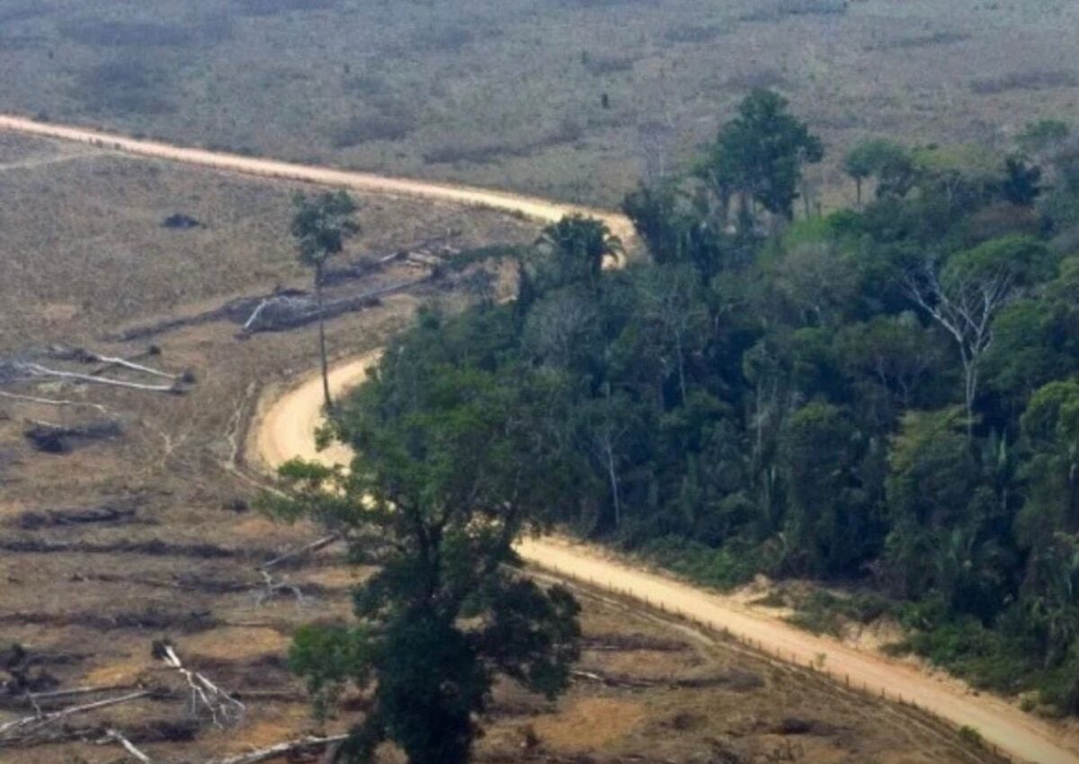 Segundo o processo, dois homens foram condenados por participação em ações ilegais