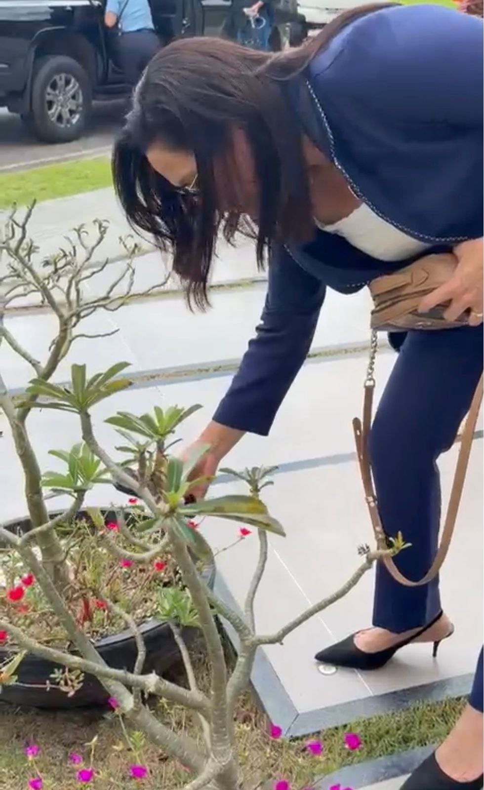 Após agenda de trabalho no Alto Acre, Mailza é clicada filmando plantas em Xapuri