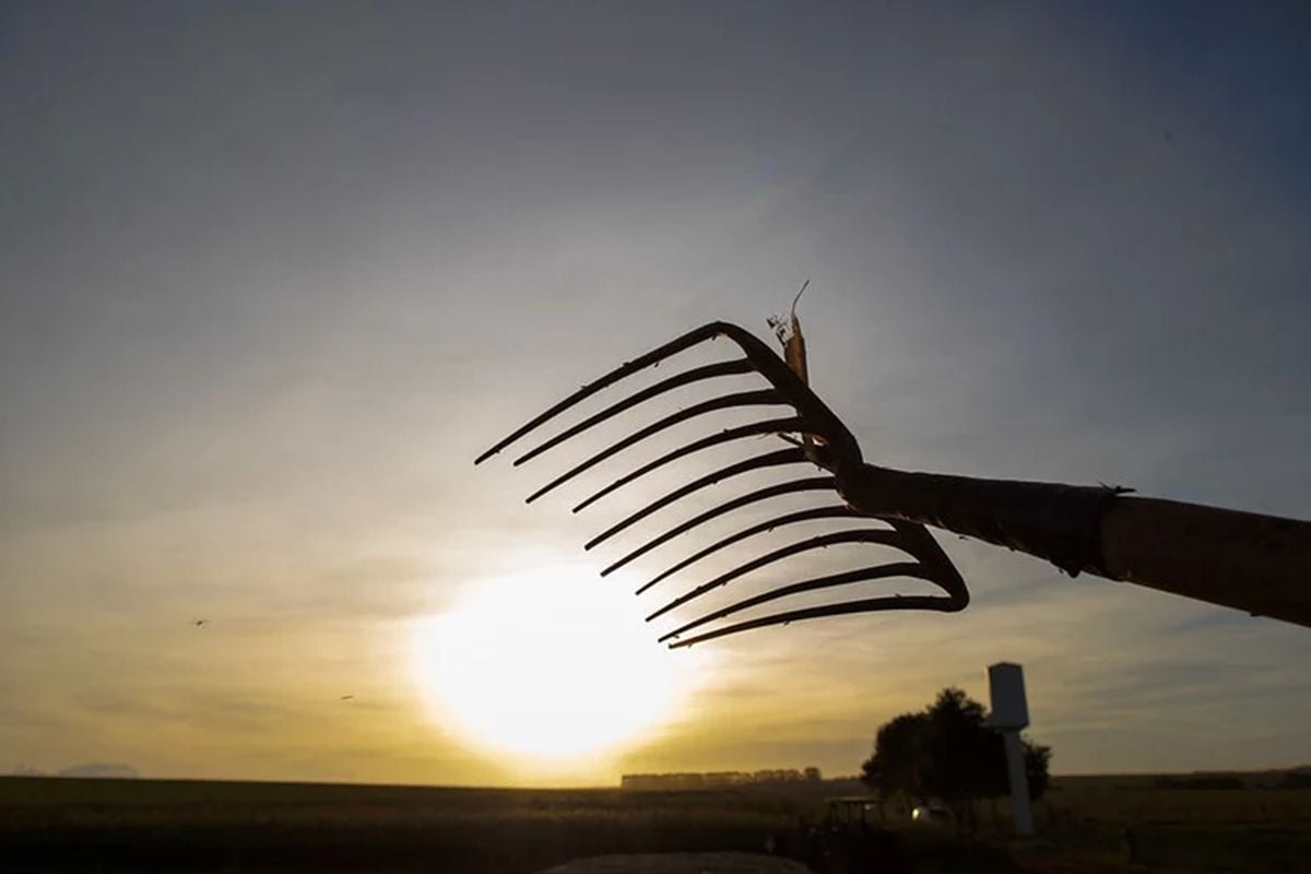 A novela do crédito rural na Amazônia: média no Acre é de 0,5%