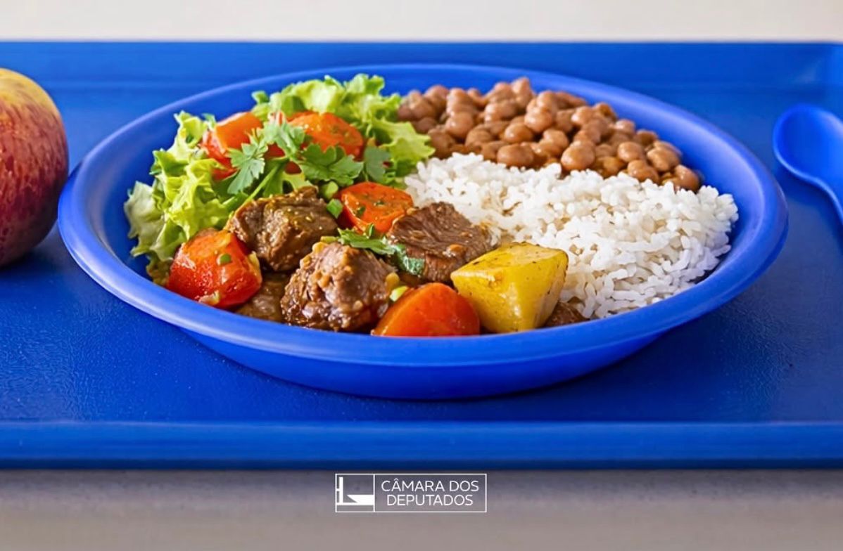 Câmara Federal aprova projeto que garante merenda escolar para professores da rede pública