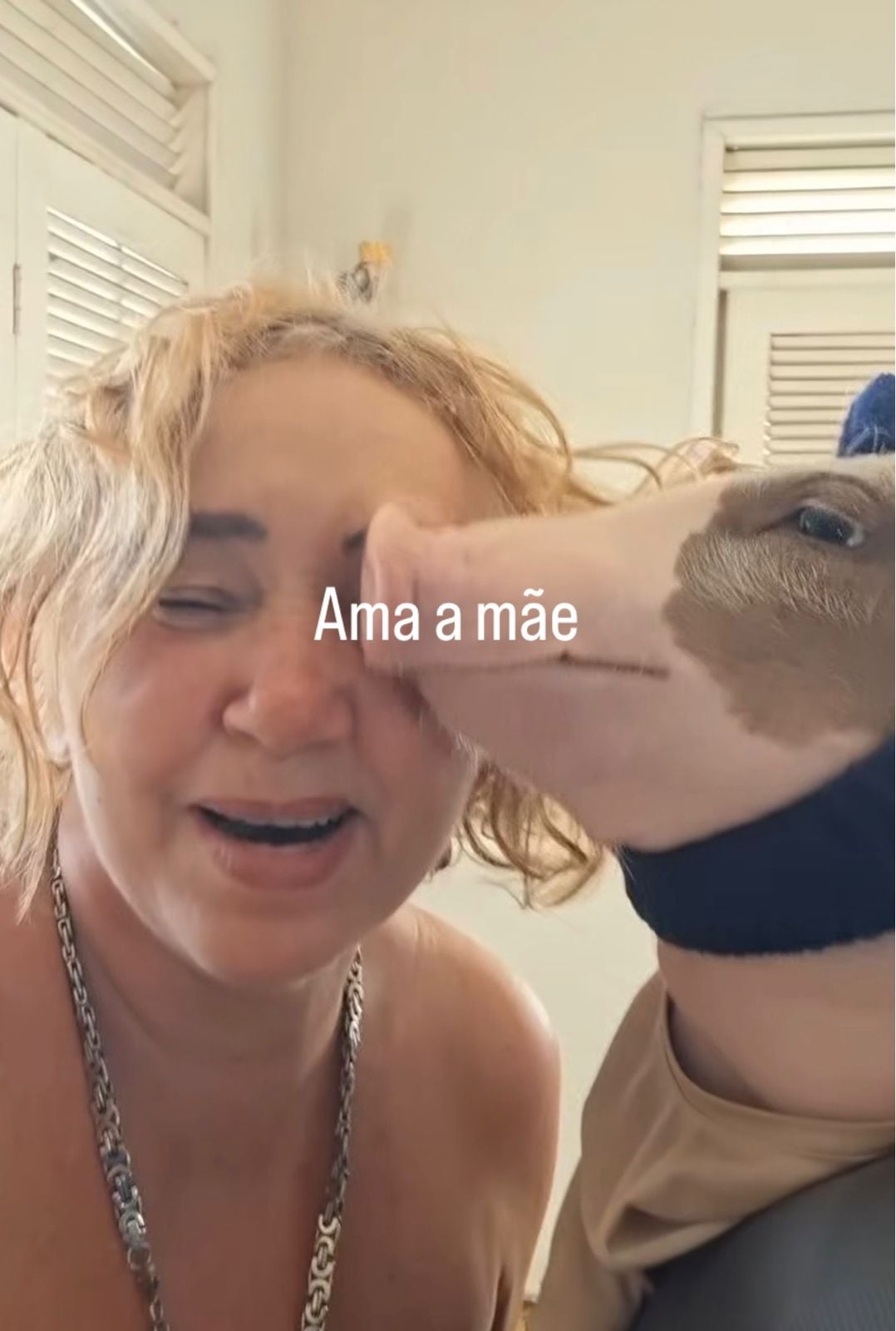 Convivência com porquinha faz influenciadora abandonar o consumo de carne