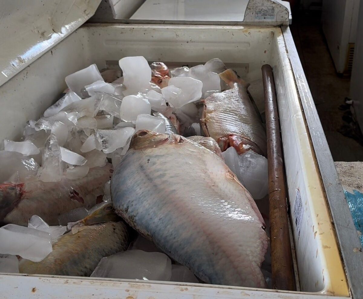 O cenário indica uma Semana Santa de fartura em Sena Madureira