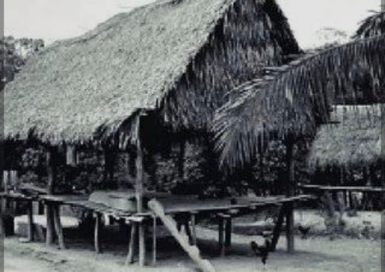 O mistério da Caboca que assombrou seringais do Rio Purus