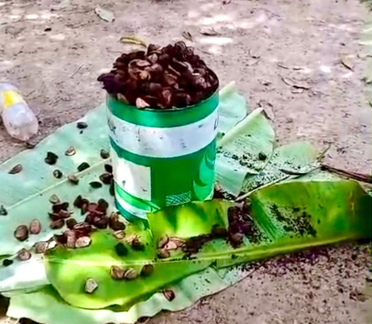 A redução no valor é atribuída principalmente à grande produção registrada nesta safra