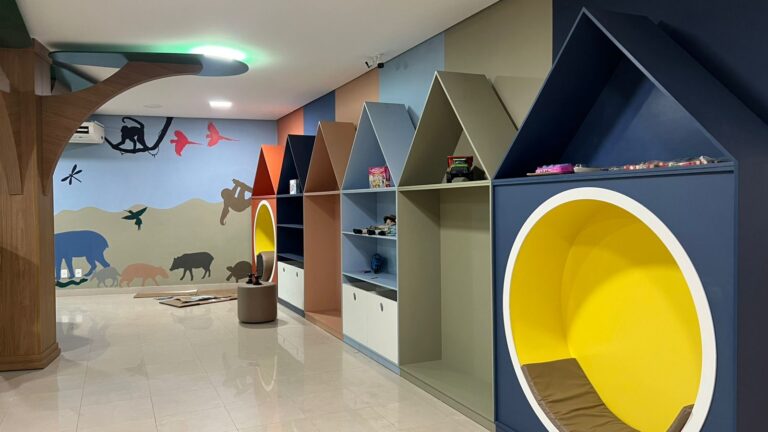 Veja como ficou a Biblioteca da Floresta, que será entregue nesta segunda