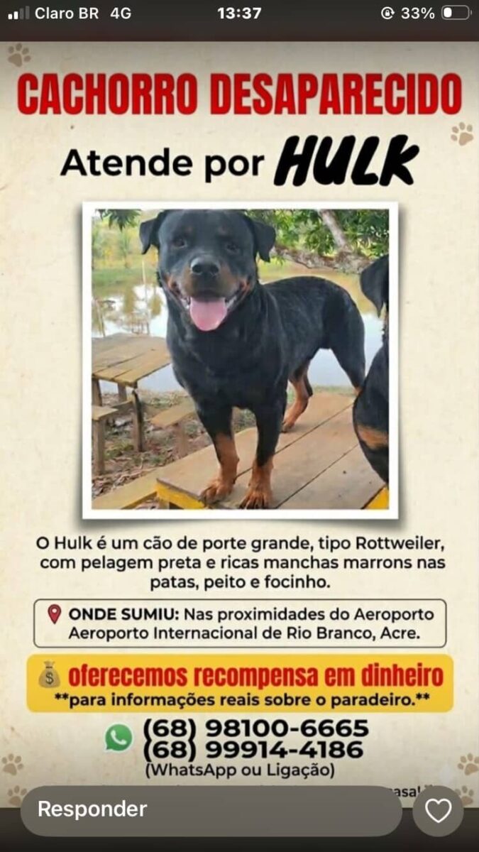 Hulk desapareceu próximo ao Aeroporto de Rio Branco