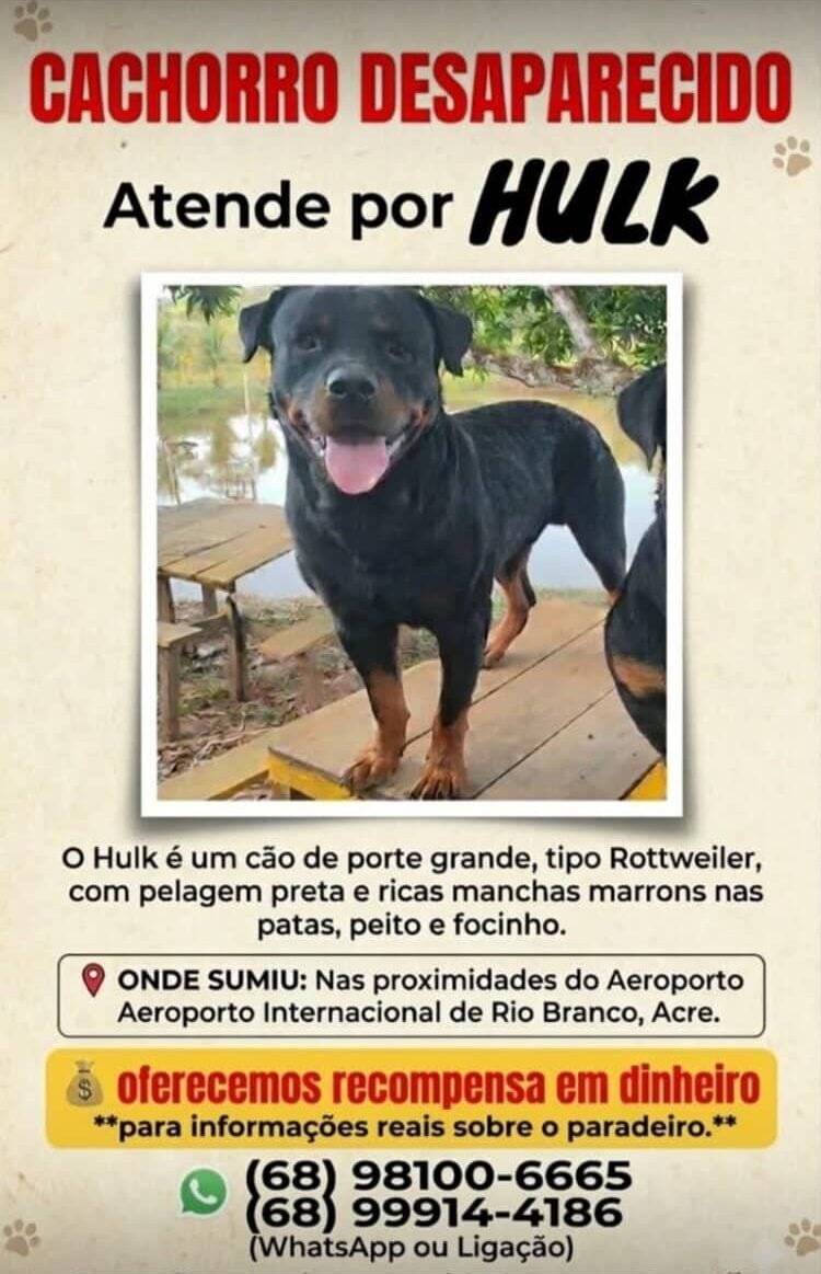 Hulk desapareceu próximo ao Aeroporto de Rio Branco