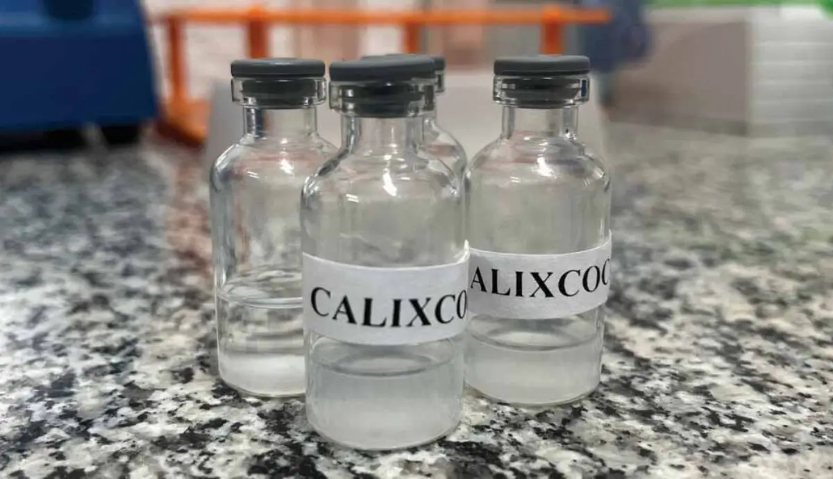 UFMG inicia testes em humanos da vacina Calixcoca contra dependência de crack e cocaína após resultados positivos em estudos.